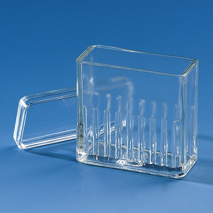 Staining troughs, Hellendahl, with lid, soda-lime glass