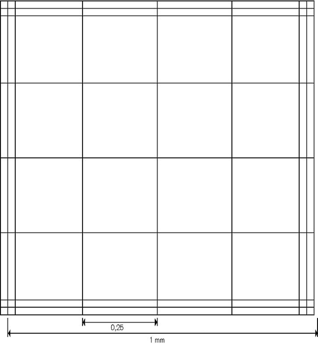 Counting chambers, Fuchs-Rosenthal pattern, BLAUBRAND®, double ruling