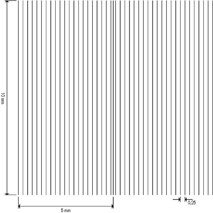 Counting chambers, Nageotte pattern, BLAUBRAND®, double ruling