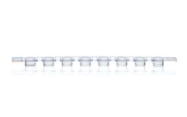 PCR Cap strips, PP, BIO-CERT PCR QUALITY