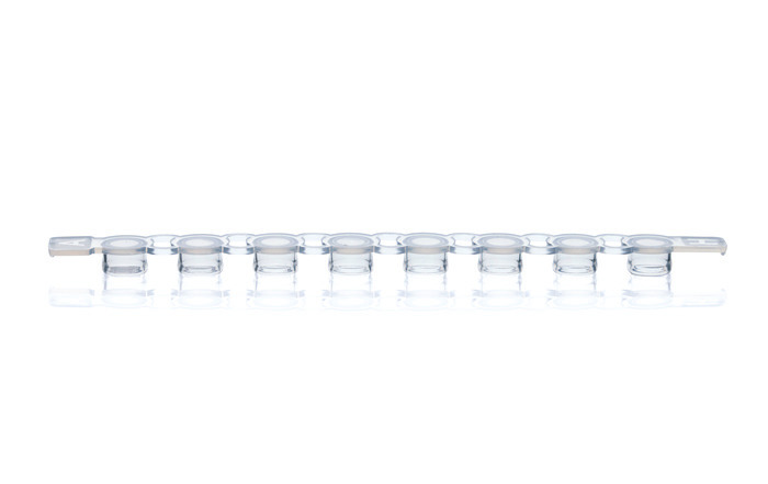 Cap strips, PP, BIO-CERT® PCR QUALITY