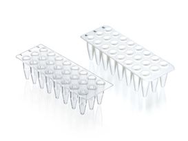 PCR plate 24-well, PP, 0.2 ml, without skirt, BIO-CERT PCR QUALITY