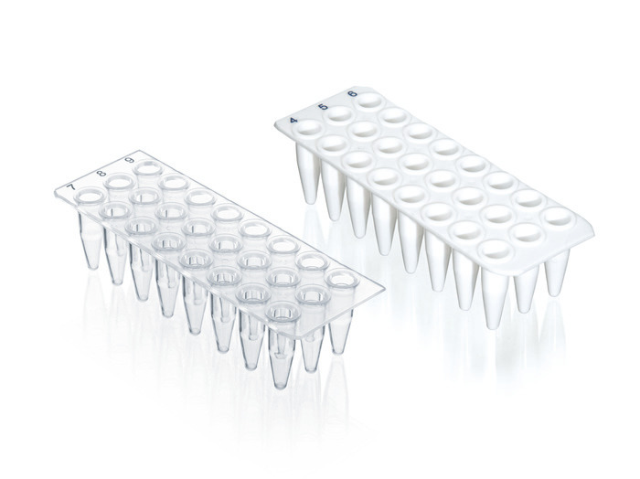 PCR plate 24-well, PP, 0.2 ml, without skirt, BIO-CERT® PCR QUALITY