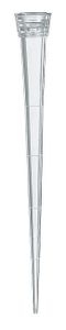 Pipette tips, 1 - 50 l, PP, colorless